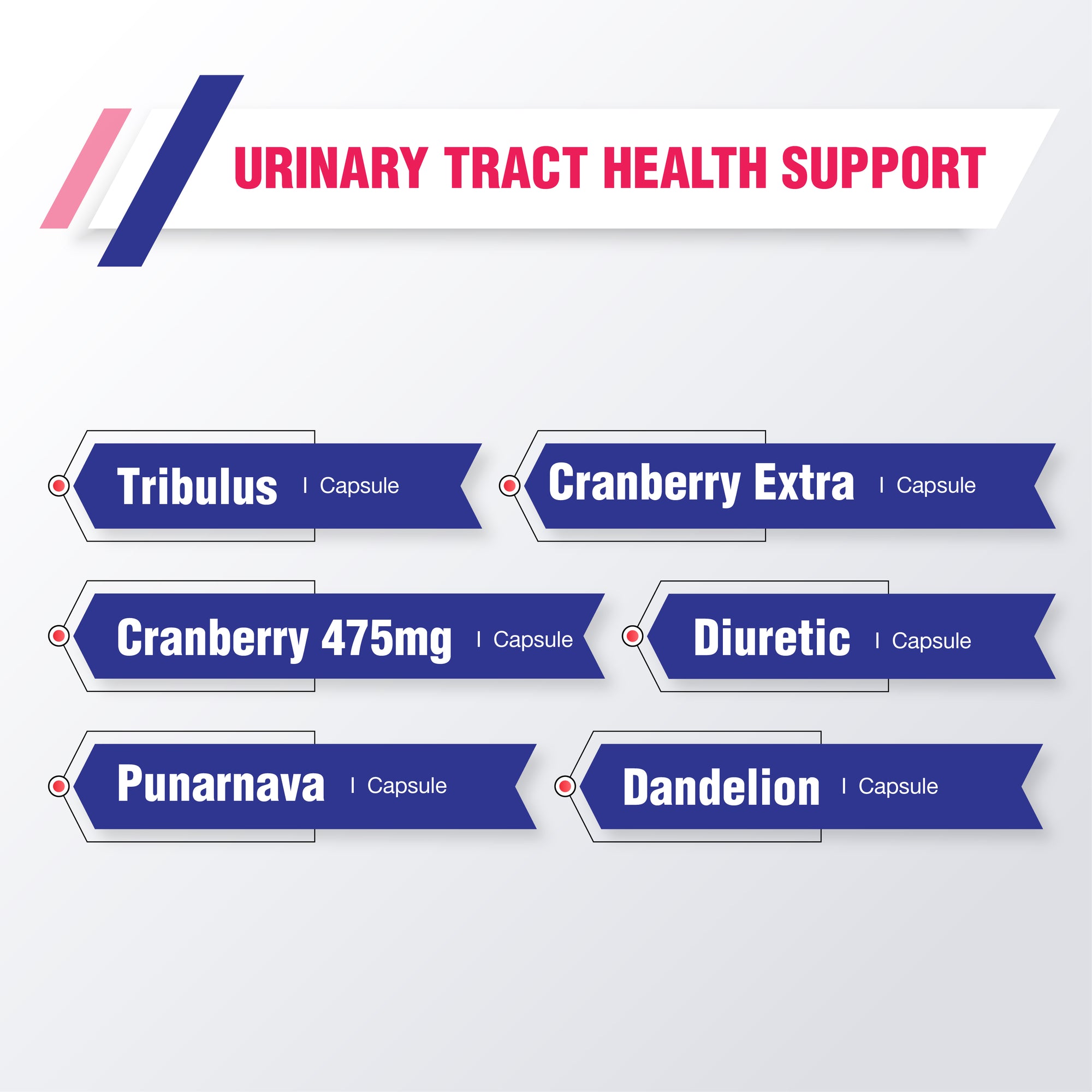 Urinary Tract Health support